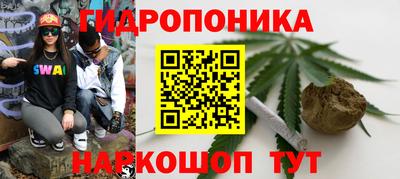 амф Пугачёв