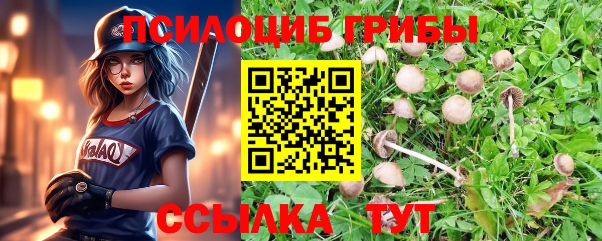 Галлюциногенные грибы прущие грибы Полевской