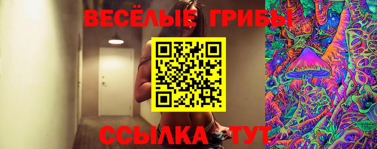 Полевской  Галлюциногенные грибы мухоморы  Псилоцибиновые грибы Psilocybine cubensis  дарнет шоп  Вход с VPN 